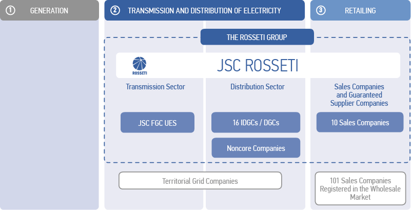 Role of the ROSSETI Group in the Russian Electric Power Sector